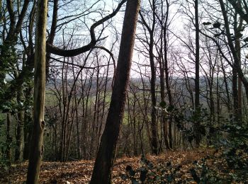 Tocht Mountainbike Saint-Senoux - st senoux - Photo