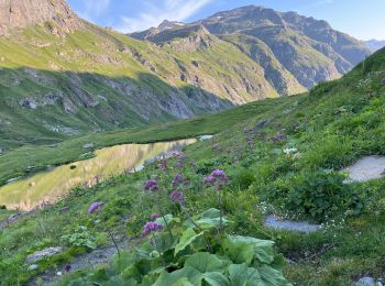 Percorso Marcia Valgrisenche - 7 Refuge Bezzi Col du rocher blanc (Col Vaudet) 2882 m Le Monal Ste Foy 650 m -1400 m - Photo