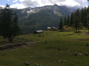 Tour Wandern Puy-Saint-Vincent - Psv 1800 vers les Tournoux et le lac des Charbonnières - Photo