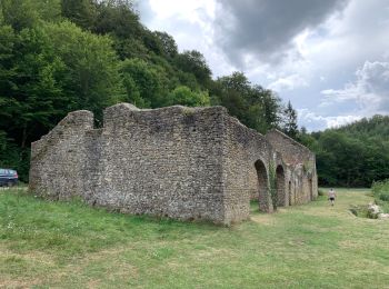 Percorso Marcia Étalle - Vallée de Laclaireau et ruines de Montauban - Photo