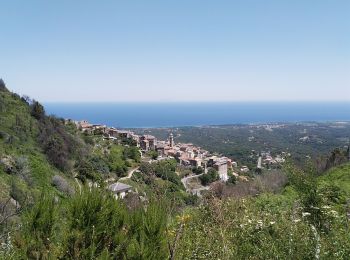 Tour Wandern Cervione - Belvédère de Cervione - Photo