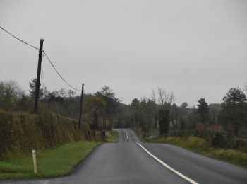 Trail On foot Ballinamore Municipal District - Crummy Loop - Photo