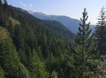 Randonnée Marche Ayent - Anzère  - Photo