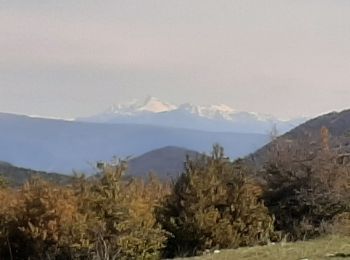 Tour Wandern Montauban-sur-l'Ouvèze - LABOREL 26 , COL DE PERTY. MONTAGNE DE CHAMOUSE O m s   - Photo