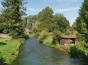 Randonnée Marche Douvrend - autour de douvrend - Photo