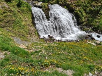 Trail Walking - jan - Photo
