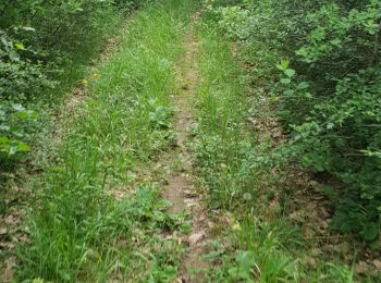 Tour Wandern Bourg-Saint-Andéol - Maison forestière  - Photo