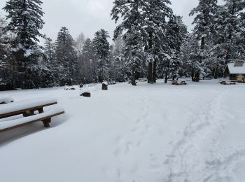 Randonnée Marche Dabo - col de la schlief - Photo