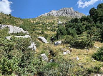 Trail On foot Aísa - Ruta del Puerto de Aísa - Photo