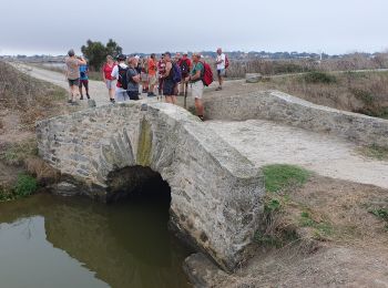 Tour Wandern L'Épine - mer marais  - Photo