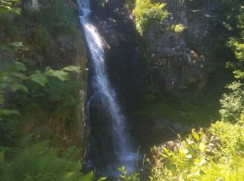 Randonnée Trail Albepierre-Bredons - Une partie des crêtes vers le Plomb du Cantal  - Photo