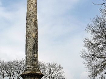 Randonnée A pied Cussy-la-Colonne - Entre Colonne et Moulin - Photo