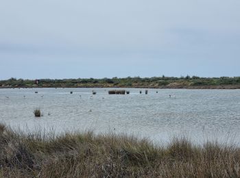 Tour Wandern Quelfes - parc Naturel olhoa - Photo