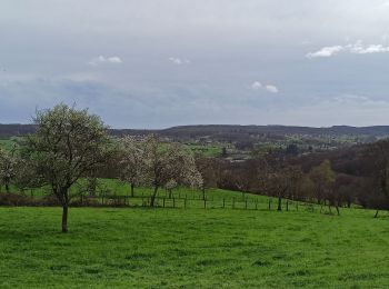 Tour Wandern Fougerolles-Saint-Valbert - 1-04-24 Ramouse - Pierres de rouges - le Bout - Photo