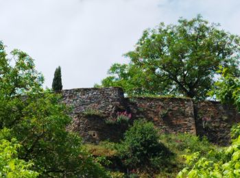 Randonnée Marche Brousse-le-Château - randonnée de castel brousse le château  - Photo