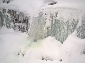 Randonnée A pied Jiřetín pod Bukovou - žlutá: Pod Bukovou - Jiřetín pod Bukovou - Photo