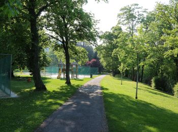 Percorso A piedi Gemeinde Baden - Baden -Hochwiese - Cholerakapelle - Photo