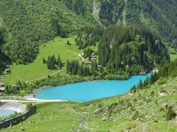 Tour Zu Fuß Val de Bagnes - Fionnay-Bonatchiesse - Photo