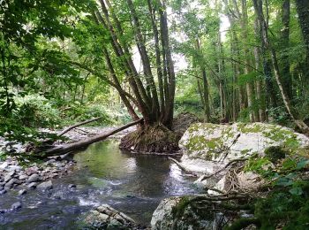 Trail Walking Sentheim - Marché au marcher 3 - Photo