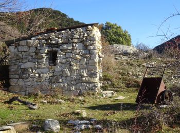 Tocht Stappen Lucéram - luceram le grd braus  - Photo