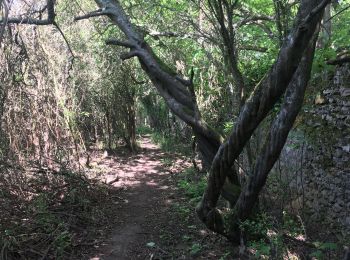 Tour Wandern Dampierre-en-Yvelines - Le long du mur du chateau Dampierre  - Photo