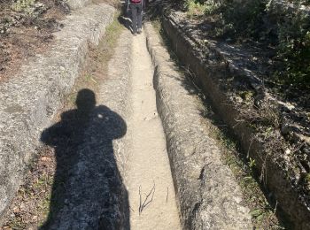 Tocht Stappen Remoulins - Le pont du Gard, Vers, les carrières  - Photo