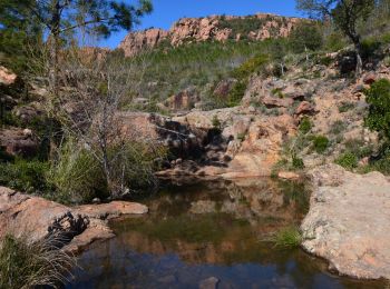 Excursión Senderismo Le Muy - D47 - Colle Rousse et de Ruel - Fontaine du chasseur - Pic Rébéquier - Château du Rouet - Photo