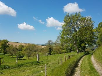 Randonnée Marche Bures-en-Bray - rando départ Bure en Bray - Photo