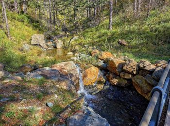 Tour Zu Fuß Campomorone - Sentiero naturalistico dei Laghi del Gorzente - Photo