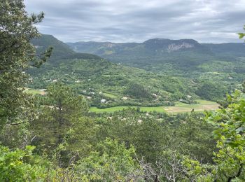 Tour Wandern Saint-Étienne-de-Gourgas - Gourgas le cirque du bout du monde - Photo