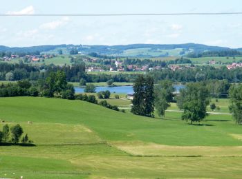 Trail On foot Sulzberg - Rundwanderweg Sulzberg 1 - Photo