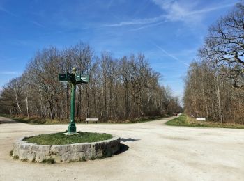 Tocht Stappen Émerainville - GRP CV-IDF 05 - Photo