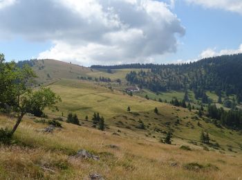 Tour Wandern Sondernach - 2022-07-10 Boucle et sommet du Petit Ballon  - Photo