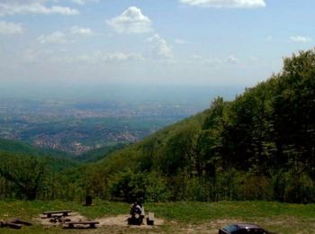 Randonnée A pied Zagreb - Planinarska staza Medvednica 10 - Photo