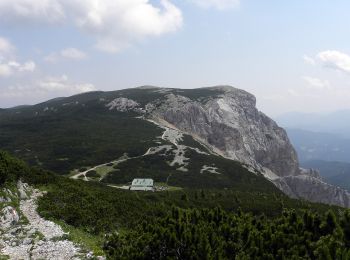 Tour Zu Fuß Gemeinde Reichenau an der Rax - Gaislochboden - Dirnbacherhütte - Seehütte - Photo