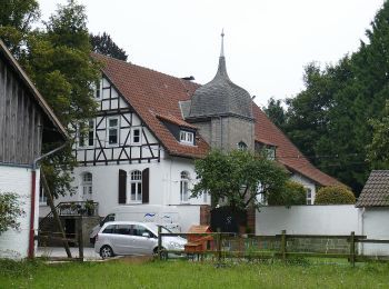 Randonnée A pied Bad Wünnenberg - Vitalwanderweg 