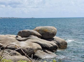 Tocht Stappen Trégunc - pointe de la Jument  - Photo