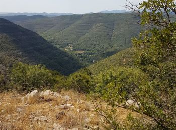 Tocht Mountainbike Mialet - col uglas - Photo