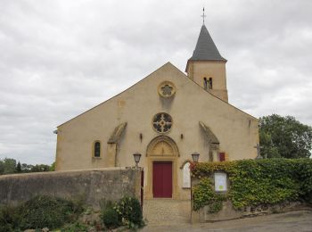 Randonnée A pied Lessy - Circuit de Plappeville - Photo