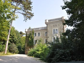 Randonnée A pied Gemeinde Purkersdorf - Naturpark - Dambach - Baunzen - Photo