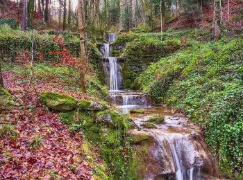 Trail On foot Wald (ZH) - Wald - Farneralp - Photo