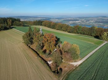 Excursión A pie Reinach - Zetzwil - Homberg - Photo