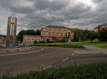 Excursión A pie Pozlovice - Okruh Dušana Jurkoviče - Photo