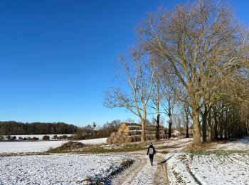 Excursión Senderismo Jemeppe-sur-Sambre - La petite boucle de Onoz - Photo