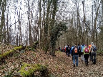 Randonnée Marche Bouresches - Bouresches du 02-02-2023 - Photo