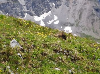 Excursión Senderismo Champagny-en-Vanoise - Col du Palet - Photo