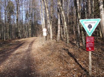 Tour Zu Fuß Bad Soden-Salmünster - Bad Soden-Salmünster Wanderweg Nr. 21 - Photo