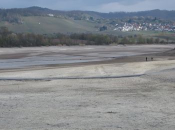 Tocht Te voet Obersulm - Obersulmer Rundwanderweg 8 - Photo