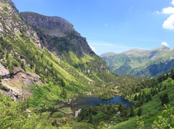 Randonnée A pied Quarten - Murgsee-Merlen - Photo