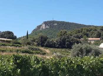 Tocht Stappen Suzette - Suzette St Amand Pas du Loup - Photo